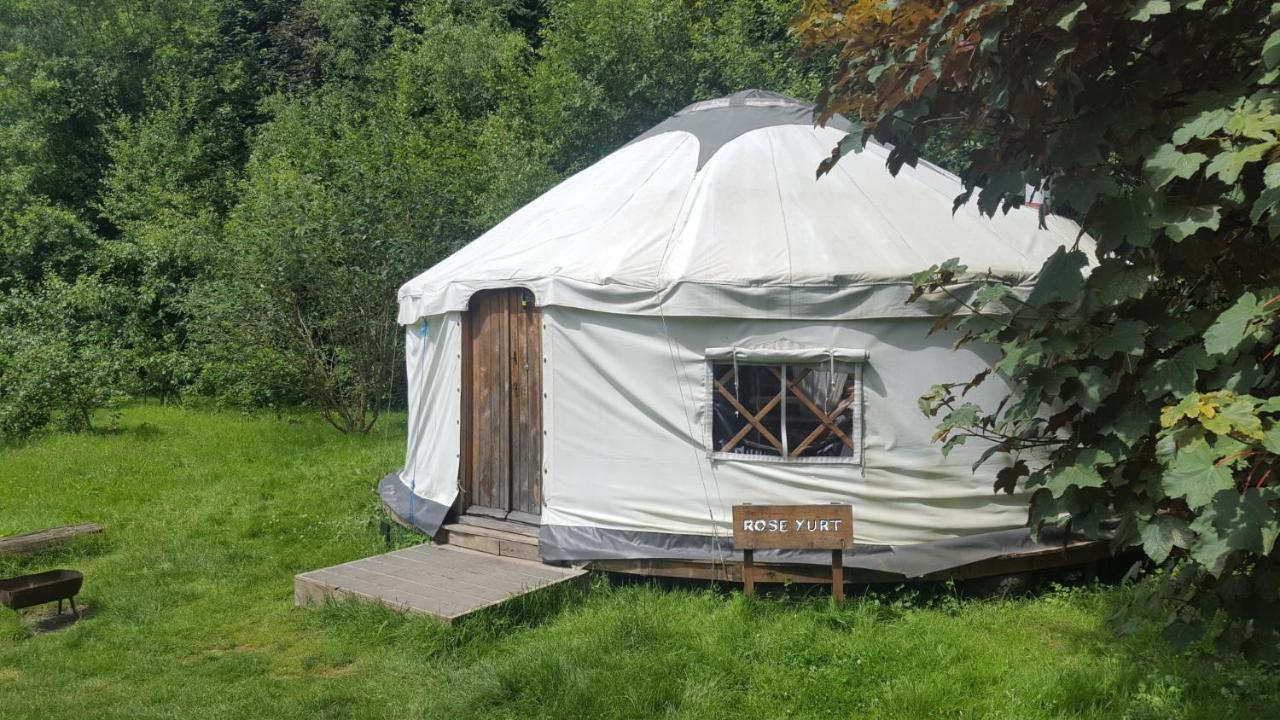 South Downs Eco Lodge & Camping East Meon Экстерьер фото