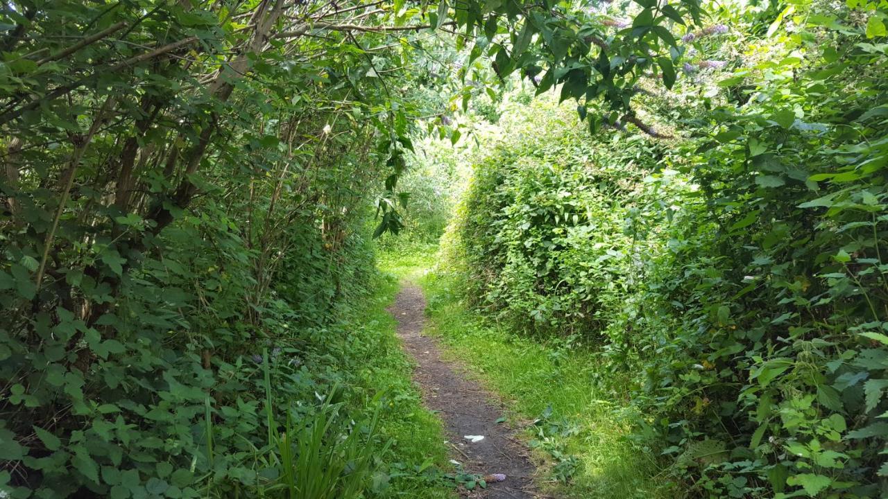 South Downs Eco Lodge & Camping East Meon Экстерьер фото