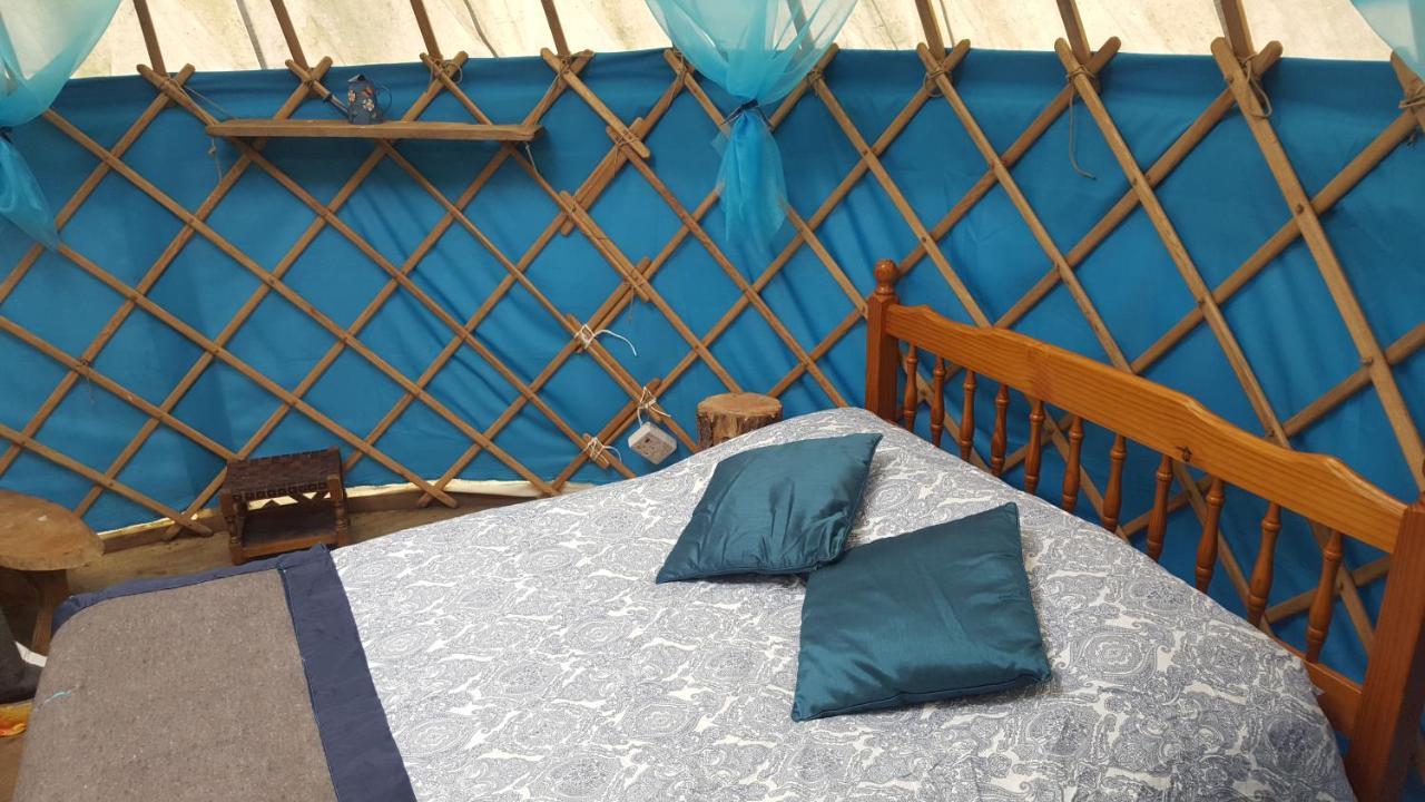 South Downs Eco Lodge & Camping East Meon Экстерьер фото